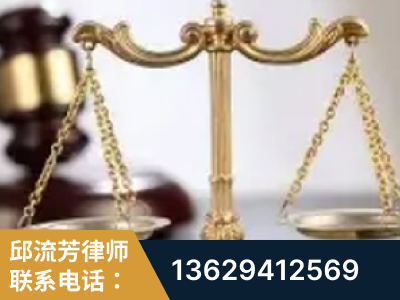 普宁-委托诉讼代理人出庭